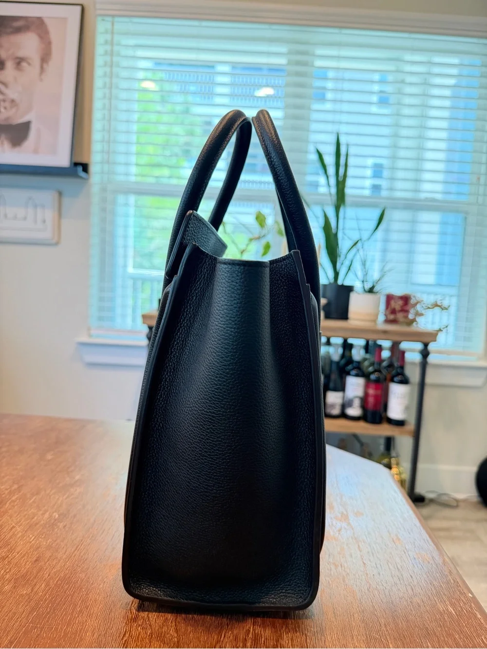 Celine Micro luggage